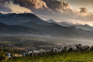 Wyniki fotopojedynku - Najlepsze zdjęcie z podróży